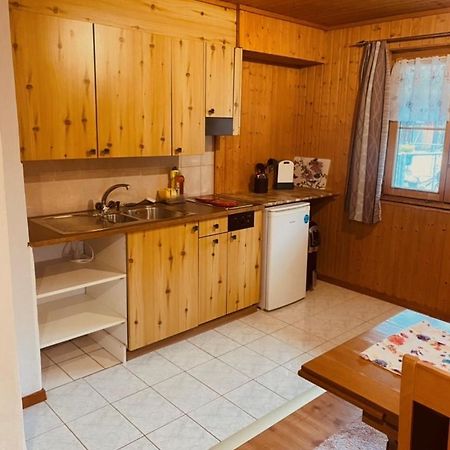 Guenstig Und Einfaches Studio Auf Dem Bauernhof Zuoz Exterior photo